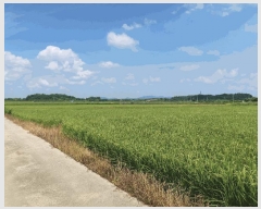  2025Ÿ��3190  ����