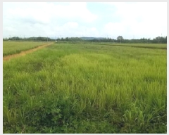  2025Ÿ��3190  ����