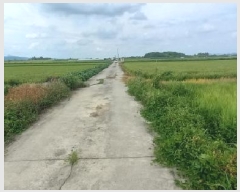  2025Ÿ��3190  ����