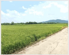  2025Ÿ��3190  ����