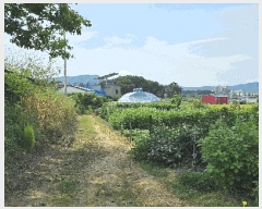  2025Ÿ3527  ֽ 鼮 漺 364-1      ð