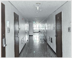  2025Ÿ��3855 ��� �����ν� �����ε� 377-2 ����������Ƚ�Ƽ  7��706ȣ    �ټ���,������