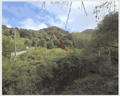  2025Ÿ��4346 ��� ��õ�� ���ϸ� ��ȸ�긮 130      ����(��1)���