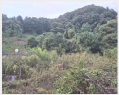  2025Ÿ��4346 ��� ��õ�� ���ϸ� ��ȸ�긮 130      ����(��1)���