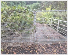  2025Ÿ��4346 ��� ��õ�� ���ϸ� ��ȸ�긮 130      ����(��1)���