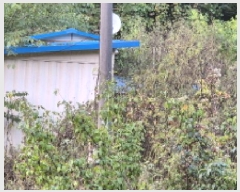  2025Ÿ��4346 ��� ��õ�� ���ϸ� ��ȸ�긮 130      ����(��1)���