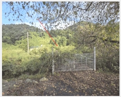  2025Ÿ��4346 ��� ��õ�� ���ϸ� ��ȸ�긮 130      ����(��1)���