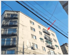  2025Ÿ��5288  ���ǽ��ڰ��