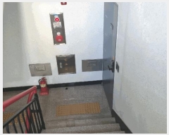  2025Ÿ��5288  ���ǽ��ڰ��