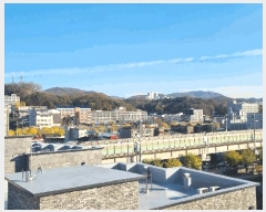  2025Ÿ��5288  ���ǽ��ڰ��