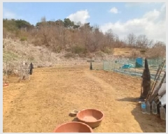  2025Ÿ71853  õ и ϸ 98      ()