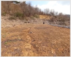  2025Ÿ71853  õ и ϸ 98      ()