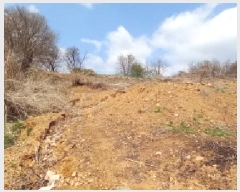  2025Ÿ71853  õ и ϸ 98      ()