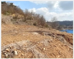  2025Ÿ71853  õ и ϸ 98      ()