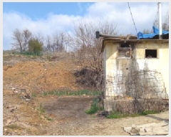  2025Ÿ71853  õ и ϸ 98      ()