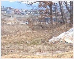  2025Ÿ��72169 ��� ��õ�� ������ �󼺺ϸ� 585      ����(��1)���