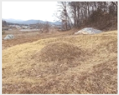  2025Ÿ��72169 ��� ��õ�� ������ �󼺺ϸ� 585      ����(��1)���