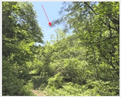  2025Ÿ72234  ö ٳ ܸ 476      (1)