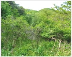  2025Ÿ72234  ö ٳ ܸ 476      (1)