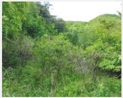  2025Ÿ72234  ö ٳ ܸ 476      (1)