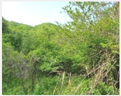  2025Ÿ72234  ö ٳ ܸ 476      (1)