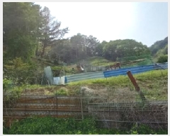  2025Ÿ72234  ö ٳ ܸ 476      (1)