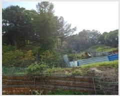  2025Ÿ72234  ö ٳ ܸ 476      (1)