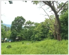  2025Ÿ��72295 ��� ��õ�� ������ ������ 558      ����(��1)���