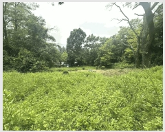  2025Ÿ��72295 ��� ��õ�� ������ ������ 558      ����(��1)���