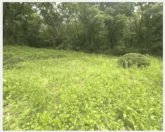  2025Ÿ��72295 ��� ��õ�� ������ ������ 558      ����(��1)���