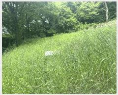  2025Ÿ��72295 ��� ��õ�� ������ ������ 558      ����(��1)���