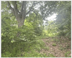  2025Ÿ��72295 ��� ��õ�� ������ ������ 558      ����(��1)���