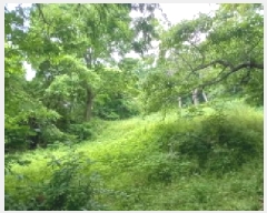  2025Ÿ��72295 ��� ��õ�� ������ ������ 558      ����(��1)���