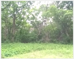  2025Ÿ��72295 ��� ��õ�� ������ ������ 558      ����(��1)���