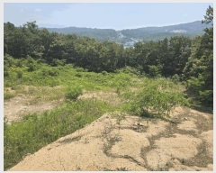  2025Ÿ72483  ֽ  ϸ 66-16      (Ӿ)