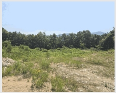  2025Ÿ72483  ֽ  ϸ 66-16      (Ӿ)