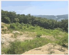  2025Ÿ72483  ֽ  ϸ 66-16      (Ӿ)