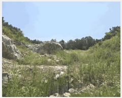  2025Ÿ72483  ֽ  ϸ 66-16      (Ӿ)