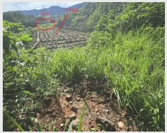  2025Ÿ��72614  �������