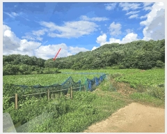  2025Ÿ��72614  �������