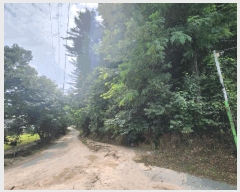  2025Ÿ��72658  �Ӿ߰��