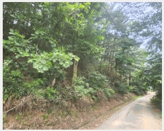  2025Ÿ��72658  �Ӿ߰��