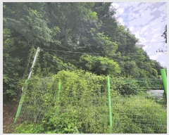  2025Ÿ��72658  �Ӿ߰��