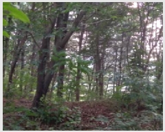  2025Ÿ��72658  �Ӿ߰��