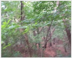  2025Ÿ��72658  �Ӿ߰��