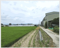  2025Ÿ��72698 ��� ���ֽ� ���� ����� 162-81      ����(��)���