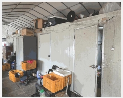  2025Ÿ��72698 ��� ���ֽ� ���� ����� 162-81      ����(��)���