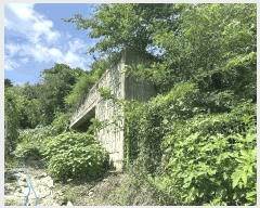  2025Ÿ��72798 ��� ����õ�� ����õ�� 79-3       ����(�Ӿ�)���