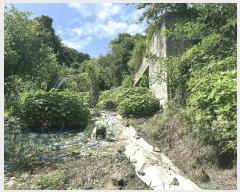  2025Ÿ��72798 ��� ����õ�� ����õ�� 79-3       ����(�Ӿ�)���