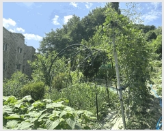  2025Ÿ��72798 ��� ����õ�� ����õ�� 79-3       ����(�Ӿ�)���